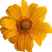 A close up of a logo

Description automatically generated